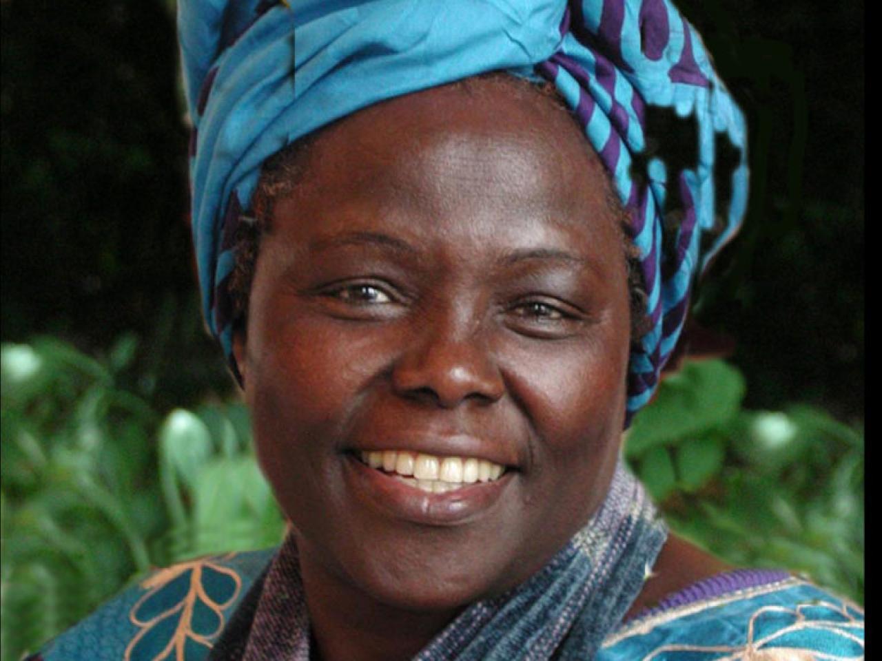 A headshot of Wangari Maathai, the first African woman to win the Nobel Peace Prize. She stares directly in the camera and is smiling. She is wearing a colorful blue top and scarf and a blue head covering.