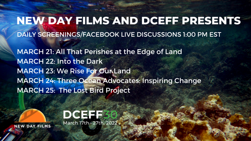 In the background, a woman is scuba diving under water and holding a camera pointed at a shell or coral reef. On top of the image is text detailing the schedule for the New Day Films/DCEFF Film Festival.