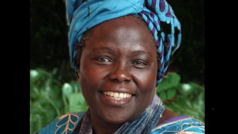 A headshot of Wangari Maathai, the first African woman to win the Nobel Peace Prize. She stares directly in the camera and is smiling. She is wearing a colorful blue top and scarf and a blue head covering.
