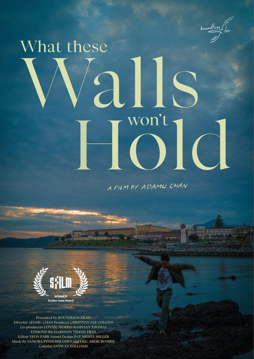 What These Walls Won't Hold film poster
