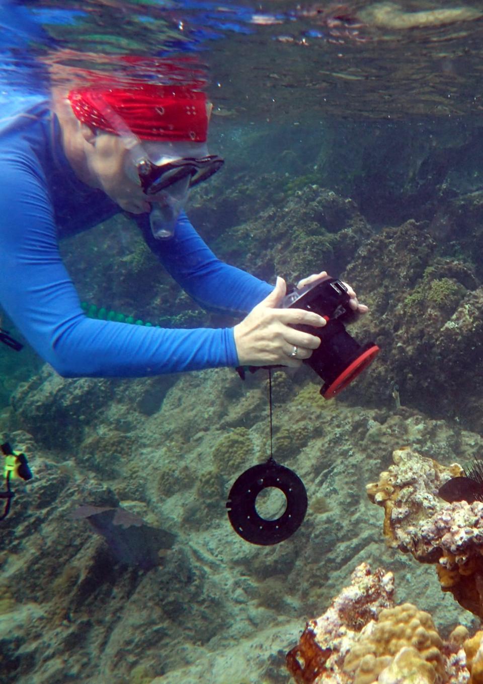 Barbara Crites with mask, underwater camera, and snorkel is documenting the changes coral reefs experience as a result of climate change. The water temperature and the acidification of the water is increasing, damaging coral reefs. 