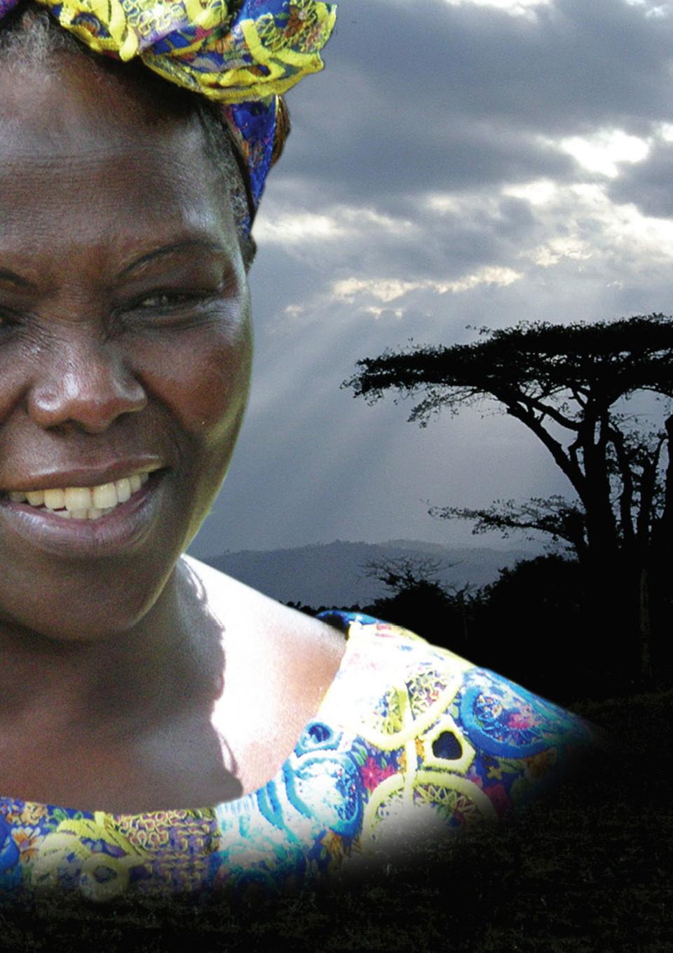 Signature image Wangari 600dpi.jpg poster poster