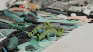 A collection of plastic debris Tess Felix collected on local beaches to use in her realistic portraits. 