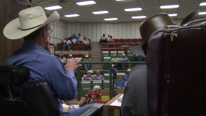 The camera is set behind two gentlemen sitting on a stage in front of a crowd. The one with the microphone is wearing a blue button up shirt and a wide-brimmed cowboy had, his hand is extended out in front of him as he gestures while speaking. 