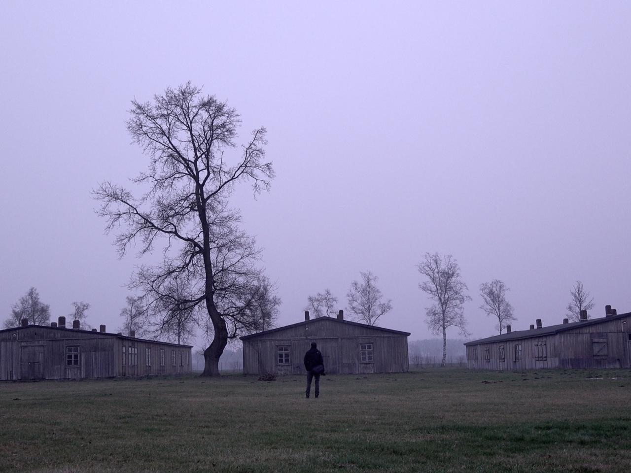 A bleak wintery outdoors scene featuring three buildings with a figure looking at the buildings, and a leafless tree.